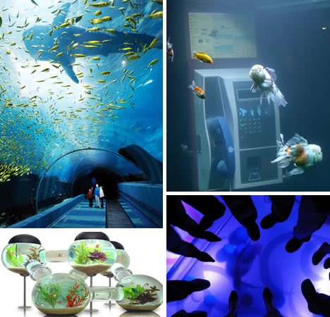 Amazing and Unusual Aquariums - Decoration - Fish Tanks - Aquarium