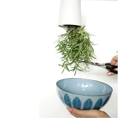 The Sky Planter Up Side Down Herb Garden
