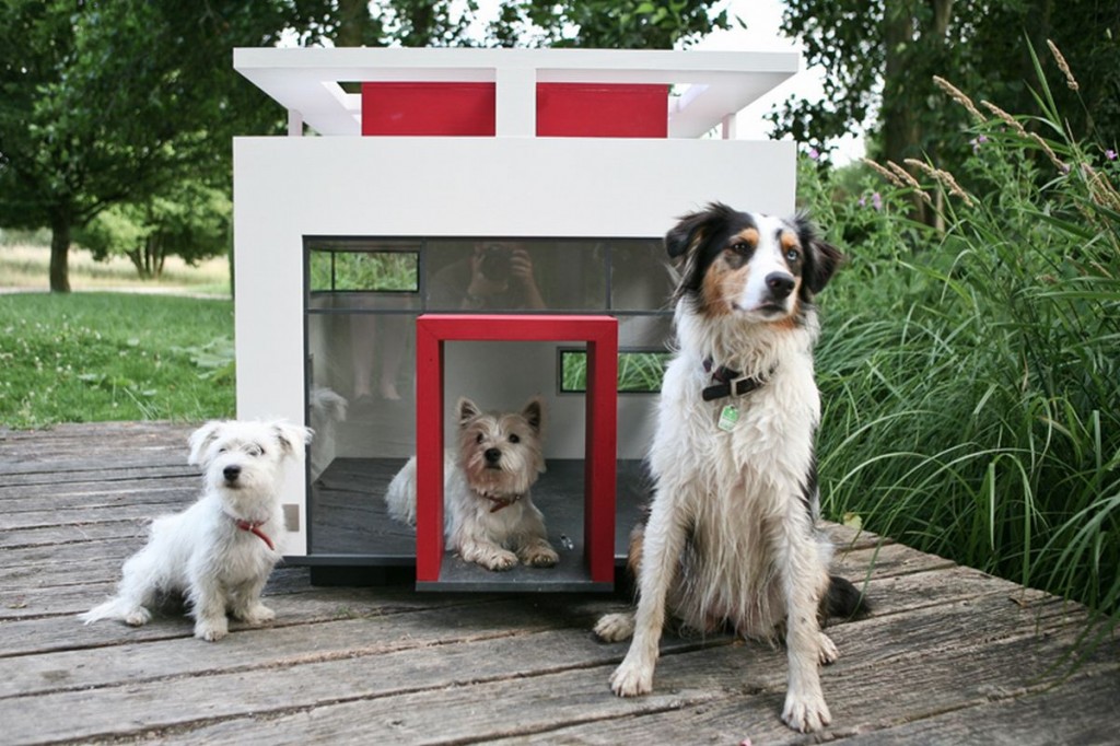 แบบบ้านน้องหมาหลายแบบ หลากสไตล์ สุดแสนน่ารัก - แบบบ้านสุนัข - บ้านน้องหมา - สำหรับสัตว์เลี้ยง - ที่อยู่สุนัข