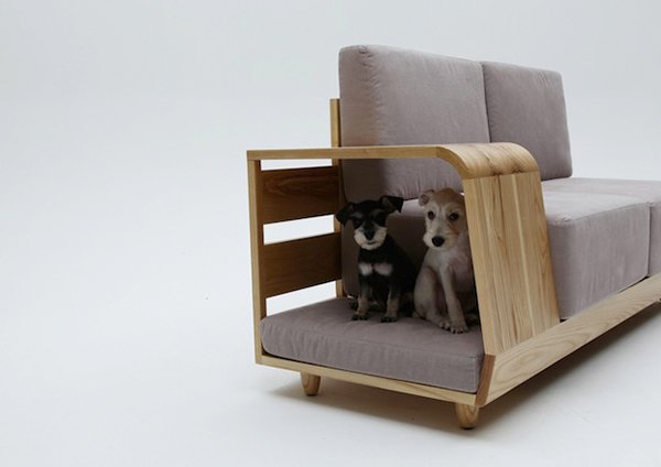 Nơi " ẩn náu " đặc biệt cho cún yêu từ chiếc ghế sofa