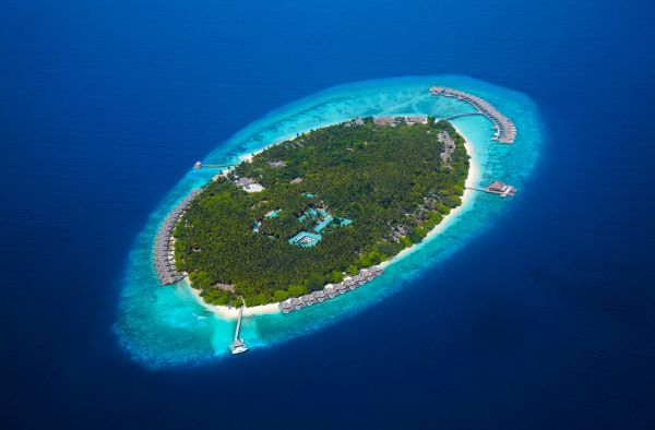 Dusit Thani Maldives: khu resort tuyệt đẹp với dòng nước biển xanh lam bao quanh