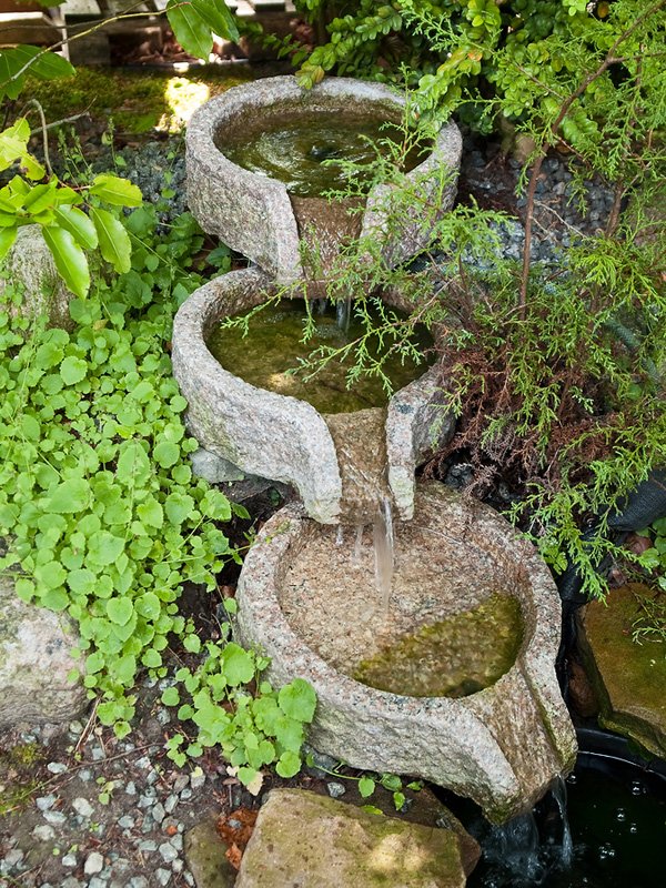 Trang trí vườn đầy phong cách với nước