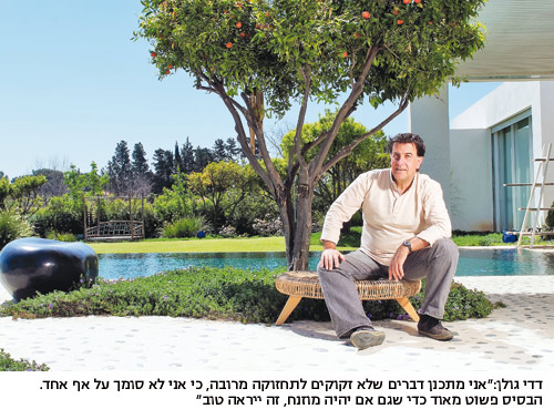 לשחות בבריכה של ורסאצ'ה: אדיכלי הנוף מגלים את החידושים האחרונים שמבקשים בעלי ההון בגינה - נדל"ן - גינה