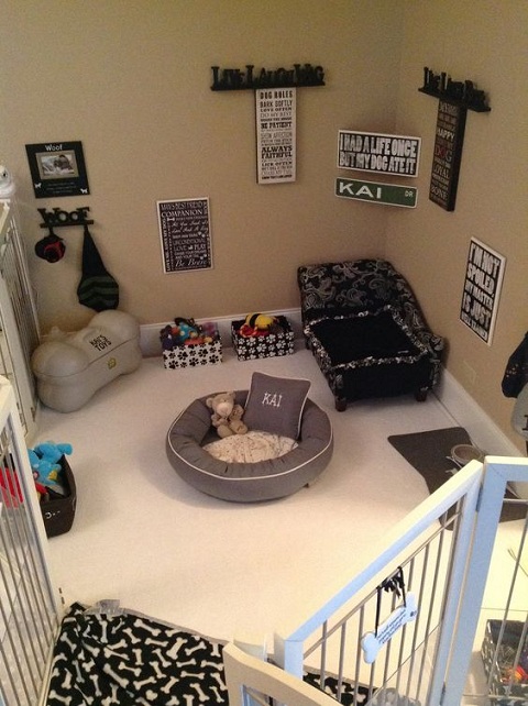 ห้องนอนหมาสุดโมเดิร์น - ห้องนอนหมา - ไอเดียแต่งบ้าน - บ้านสวย - ออกแบบ - การออกแบบ - สัตว์เลี้ยง