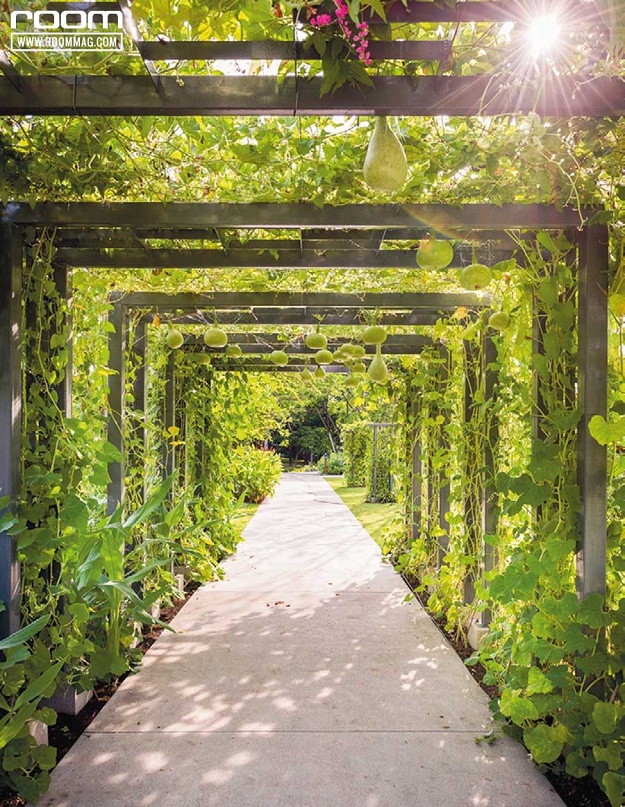 MEDICINAL PLANT GARDEN สวนสมุนไพรเฉลิมพระเกียรติ 60 พรรษา สมเด็จพระเทพฯ - สวนสวย - สวนสมุนไพร - สวนเฉลิมพระเกียติ