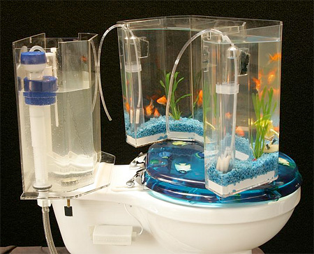 Thú vị với bồn vệ sinh có gắn hồ cá - Hồ cá - Bồn vệ sinh - AquaOne - Phòng tắm