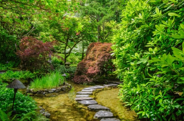 จัดสวนญี่ปุ่น สไตล์  Zen - จัดสวนสไตล์ Zen - สวนสวย - สวนสวย - จัดสวน - ญี่ปุ่น - สวนญี่ปุ่น