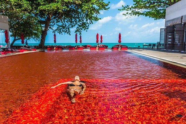อุ๊ต๊ะ!! เก๋มากกกก กับสระว่ายน้ำสีแดง - ตกแต่ง - ของแต่งบ้าน - สระว่ายน้ำ