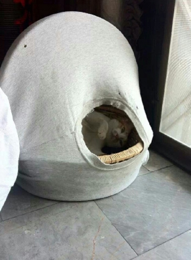 บ้านน้องแมวน่ารักๆ เอาใจคนรักแมว !!! - บ้าน - การออกแบบ - ไอเดียเก๋ - ไอเดีย