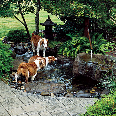 Thiết kế góc vườn cho cún yêu - Ý tưởng - Vườn - Ngoài trời - Dành cho cún cưng