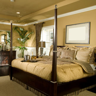 Master Bedroom - Bedroom