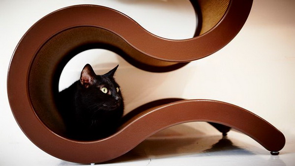 Giường ngủ cho mèo Curvynest với kiểu dáng ấn tượng - Trang trí - Thiết kế