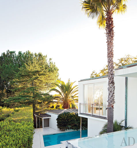 Beautiful House with Glass Walls Surrounding by Nature - Dream Home