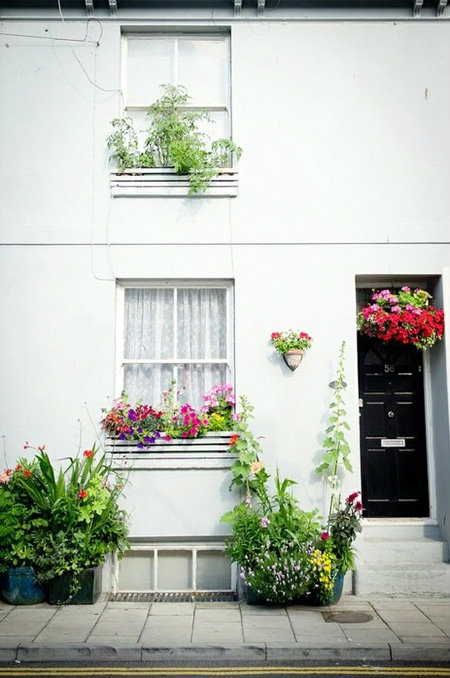 สดชื่น..น่ามอง จัดสวนดอกไม้ริมหน้าต่างบ้าน... - จัดสวน - ตกแต่งสวน - จัดสวนดอกไม้ - สวนริมหน้าต่าง - ปลูกดอกไม้ - ปลูกต้นไม้