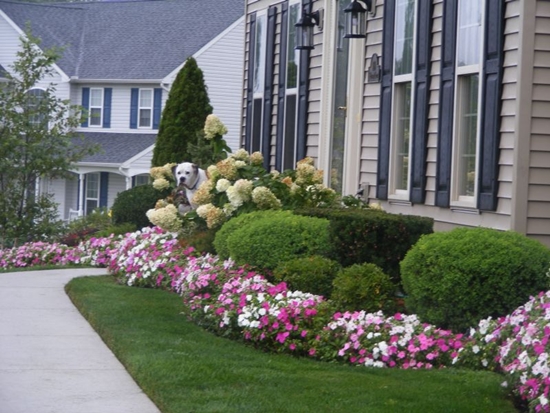 จัดสวนหย่อมหน้าบ้านด้วยดอกไม้ - สวนสวย - บ้านและสวน - ปลูกต้นไม้ - ไอเดียแต่งสวน