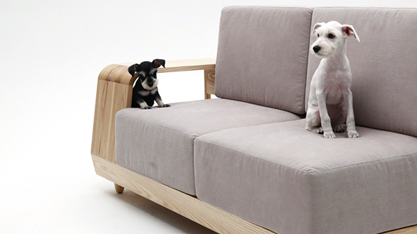 Nơi " ẩn náu " đặc biệt cho cún yêu từ chiếc ghế sofa - Ghế Sofa - Nhà cho thú cưng - Nội thất