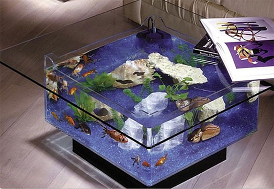 Thêm sinh khí cho nhà với những bể cá độc đáo - Trang trí - Ý tưởng - Thiết kế đẹp - Hồ cá - Bể cá