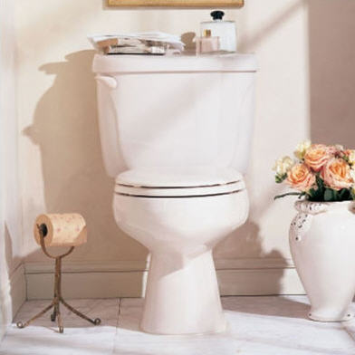 American Standard Cadet Two Piece Elongated Toilet - Furniture Find - Toilet - Bathroom