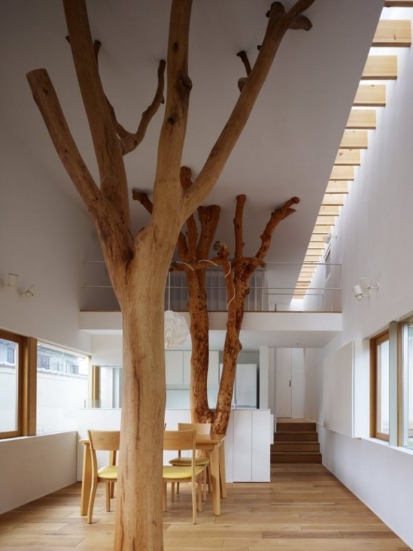 Incredible Houses with Indoor Trees [PHOTOS]