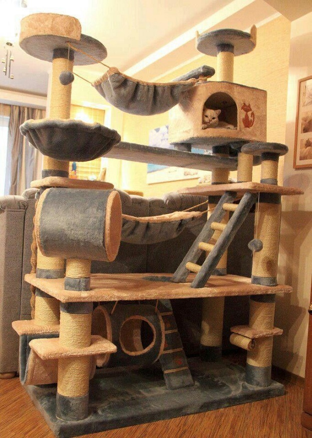 บ้านน้องแมวน่ารักๆ เอาใจคนรักแมว !!! - บ้าน - การออกแบบ - ไอเดียเก๋ - ไอเดีย