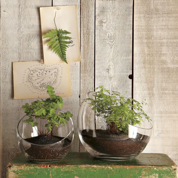 Creative Hanging Garden Ideas by Shane Powers for West Elm - Garden - Outdoor - Ideas - Interior Design