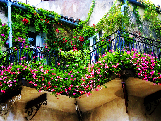 Beautiful Balcony Garden Ideas: ไอเดียการจัดสวนบนระเบียง