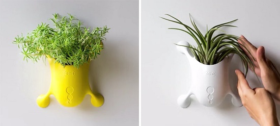 These cute little planters are designed to stick to almost any surface like a gecko - เฟอร์นิเจอร์ - ของแต่งบ้าน - ไอเดีย - แต่งบ้าน - ออกแบบ - จัดสวน - สวนสวย - การออกแบบ - ไอเดียแต่งบ้าน - ไอเดียเก๋