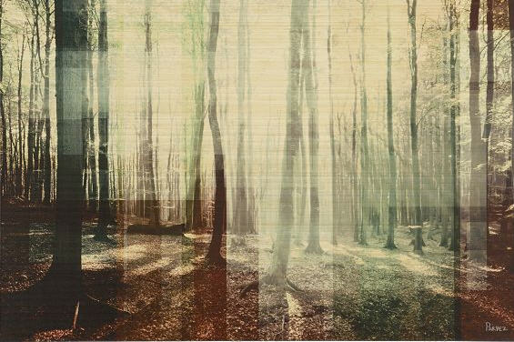 Woodlands print on bamboo - CB2 - Art