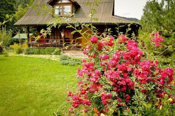 Ghé thăm ngôi nhà mộc mạc được bao phủ bởi nhiều cây xanh ở Romania - Trang trí - Ý tưởng - Thiết kế - Nhà đẹp - Ngôi nhà mơ ước - Ngoài trời