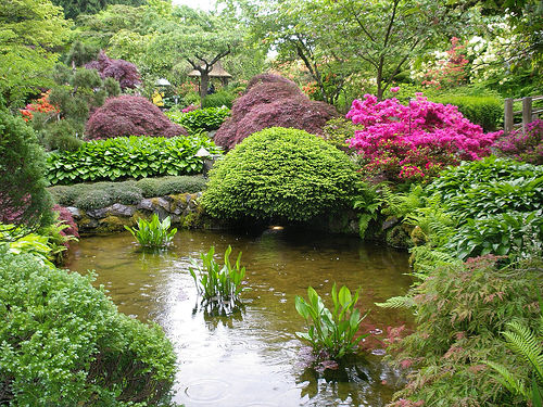 Đầy tinh tế và tao nhã như vườn Nhật - Trang trí - Ý tưởng - Ngoại thất - Vườn - Phong thủy - Vườn Nhật