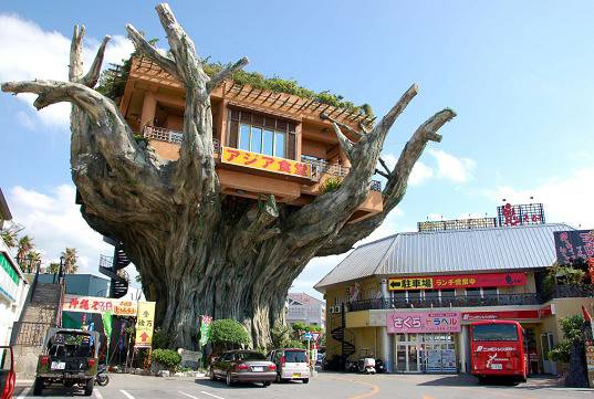 Top 10 Unique Tree House Designs In The World