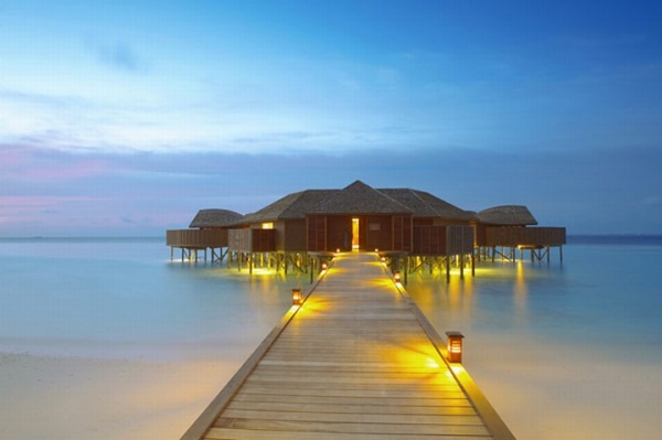 Lily Beach Resort & Spa, Maldives: Thiên đường giữa biển. - Maldives - Resort - Spa - Thiết kế thương mại