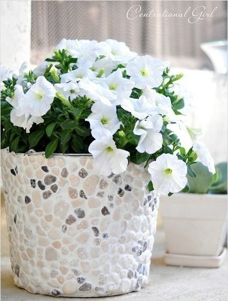 การทำกระถางดอกไม้ แต่งบ้านสวยสดชื่น ด้วยตัวคุณ! - งานประดิษฐ์ - DIY - จัดสวน - แต่งบ้าน - การทำกระถางต้นไม้ - กระถางต้นไม้ - กระถางดอกไม้