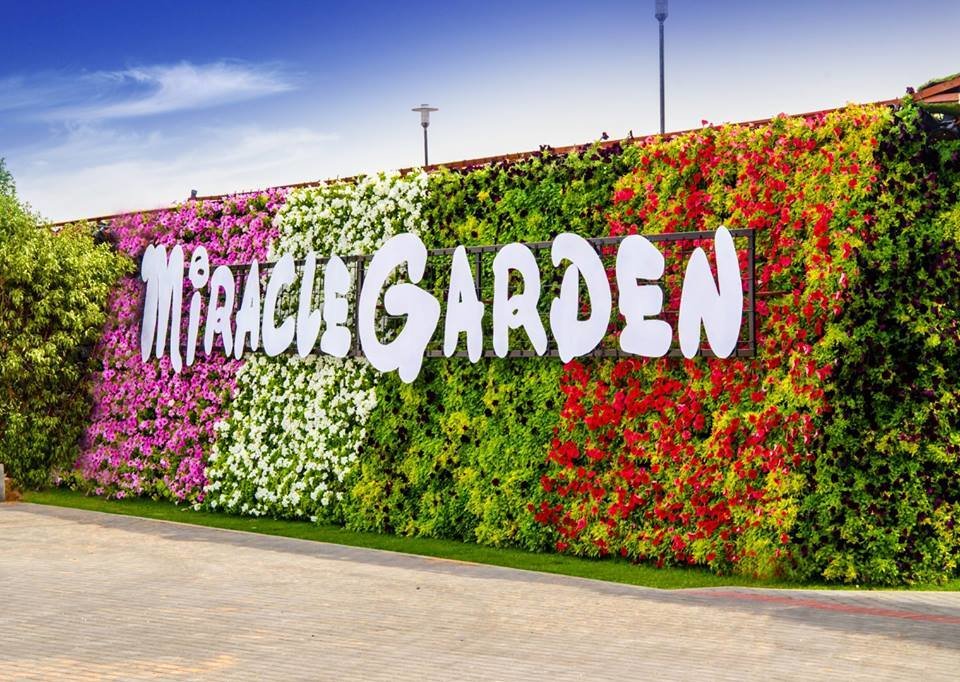 Miracle Garden สวนสวยที่ติดอันดับ Top ten in the World
