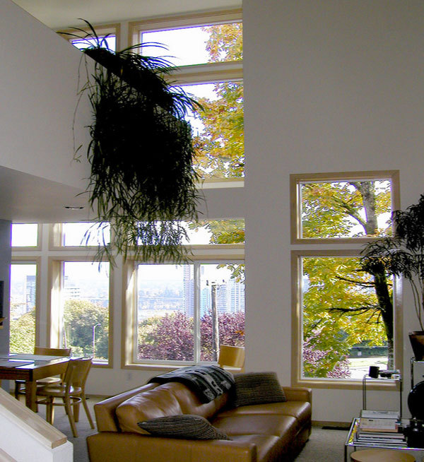 Ngôi nhà thêm xanh mát với các loại cây cảnh - Trang trí - Ý tưởng - Thiết kế - Xu hướng - Vườn - Ngoài trời - Cây cảnh trong nhà