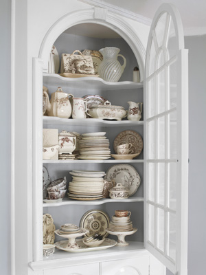 Design a Friendly home with Terri Cannon-Nelson - Interior Design