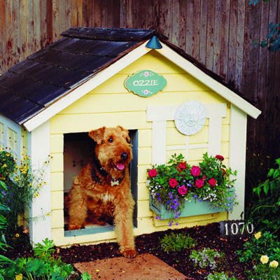 Thiết kế góc vườn cho cún yêu - Ý tưởng - Vườn - Ngoài trời - Dành cho cún cưng
