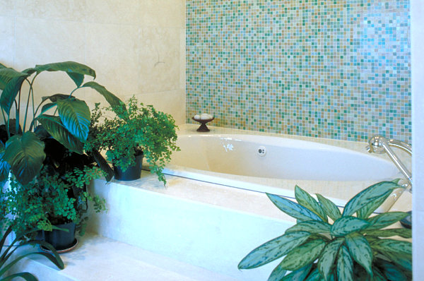 Phòng tắm xanh mát với cây cảnh