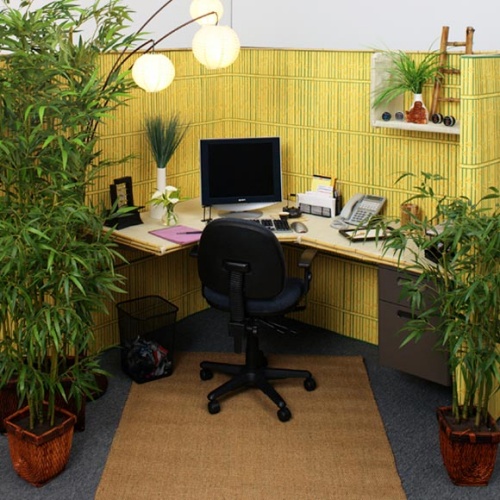 Feng Shui Home Office Brings You Good Luck - Office - Feng Shui