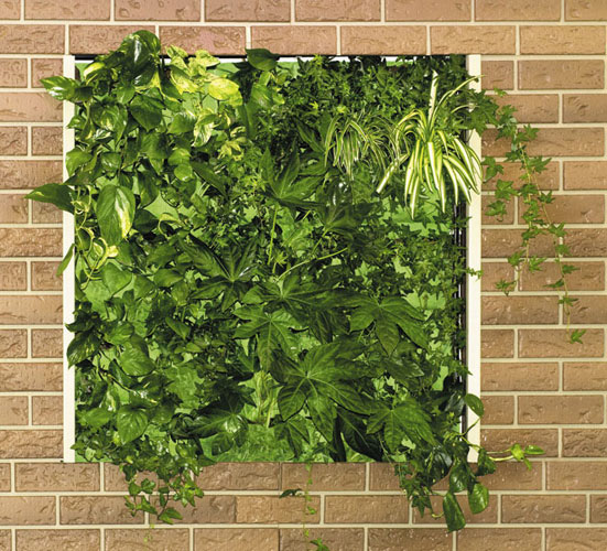 Make Interior and Exterior Maarvelous with Vertical Gardens - Decoration - Garden - Design - Vertical Garden