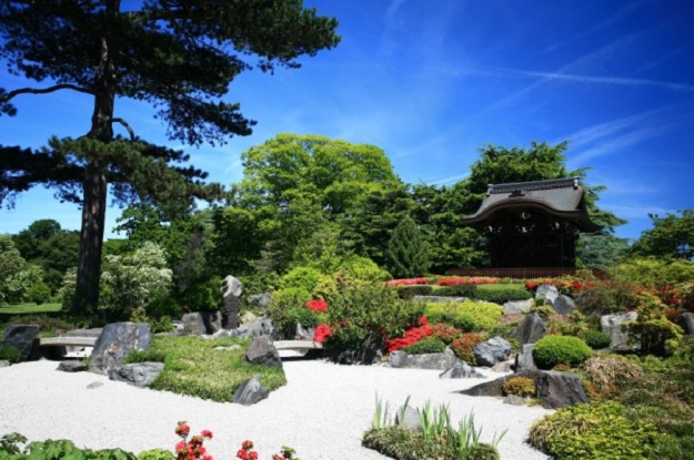 จัดสวนญี่ปุ่น สไตล์  Zen - จัดสวนสไตล์ Zen - สวนสวย - สวนสวย - จัดสวน - ญี่ปุ่น - สวนญี่ปุ่น
