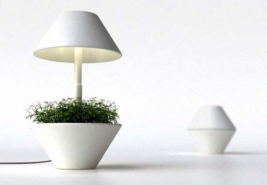 Độc đáo với chậu cây xinh xinh kiêm đèn bàn - Trang trí - Nội thất - Ý tưởng - Thiết kế đẹp - Đèn - Chậu hoa - Đèn LED - Shulab Studio