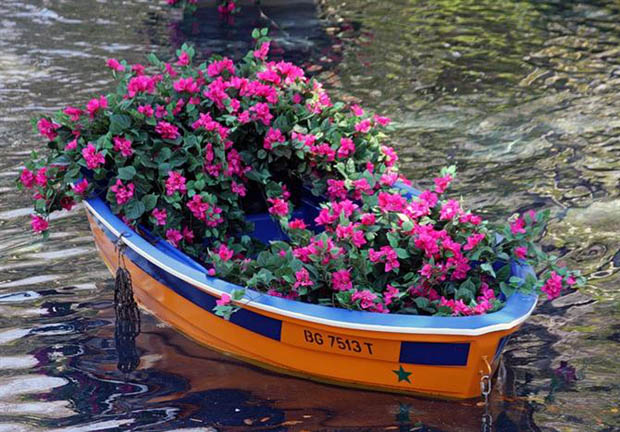 จัดสวนดอกไม้สวยๆ บนลำเรือ - ไอเดีย - จัดสวน - สวนสวย - สวนดอกไม้ - สวนบนเรือ - จัดสวนในเรือ
