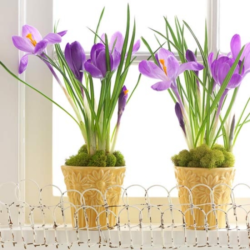 Fast and Chic Easter Decor Ideas - Design - Decoration - Ideas - Tips - Colorful - Easter Décor
