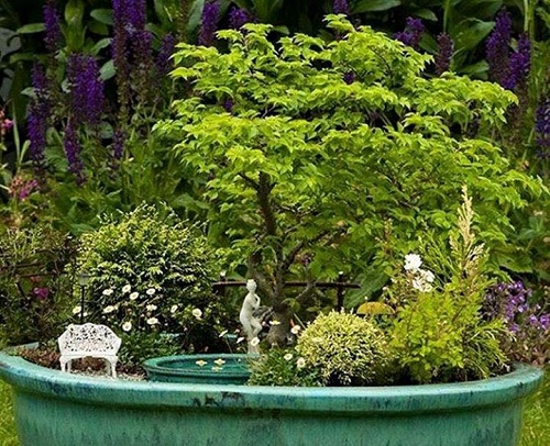 ใสๆ รักธรรมชาติ! รวมกระถางสวนจิ๋วสุดน่ารัก..เห็นแล้วอยากทำสวน - ไอเดีย - ไอเดียเก๋ - การออกแบบ - ไอเดียแต่งบ้าน - สวนสวย - ตกแต่ง - จัดสวน - กระถาง