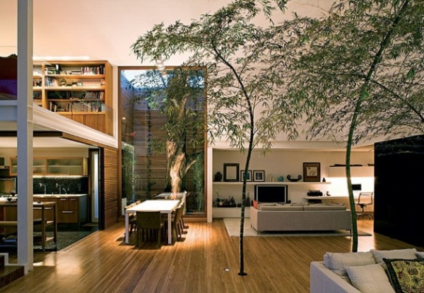 Incredible Indoor-Trees Houses [PHOTOS] - Design Trends - Design - Photo