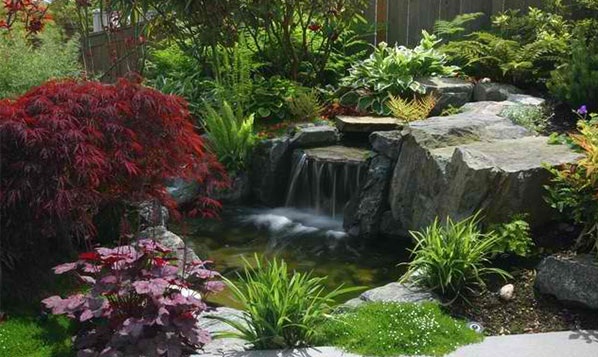 Thêm không khí mát mẻ với ao nước trong vườn