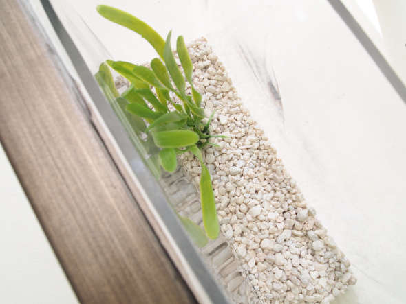 Tự Làm Hồ Cá Khung Tranh Đầy Chất Nghệ Thuật - DIY - Bể cá - Ý tưởng - Trang trí
