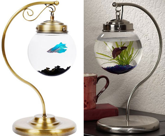 Thêm sinh khí cho nhà với những bể cá độc đáo - Trang trí - Ý tưởng - Thiết kế đẹp - Hồ cá - Bể cá