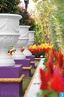 สีสันสวนยุโรป - ไอเดีย - สวนสวย